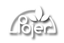 Pojer